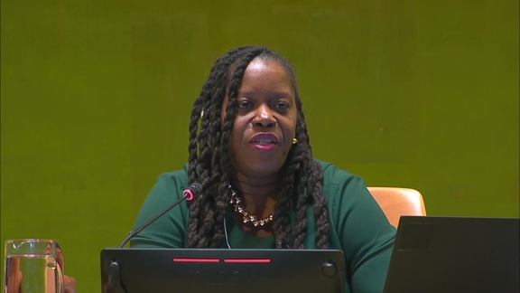 General Assembly: 63rd plenary meeting, 80th session