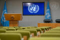Press Conference: Arsenio Dominguez, Secretary-General of the International Maritime Organization (IMO) on the Strait of Hormuz