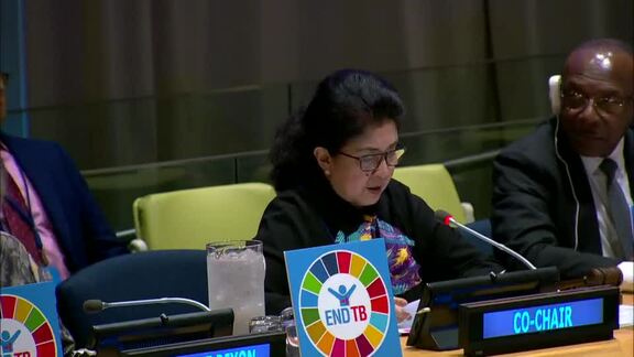 Multi-stakeholder Panel on the Fight Against Tuberculosis - Panel 2