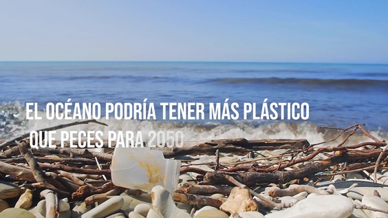 CONFERENCIA SOBRE LOS OCÉANOS DE LA ONU SIN PLÁSTICOS