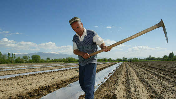Social Protection and Climate Action in Europe and Central Asia