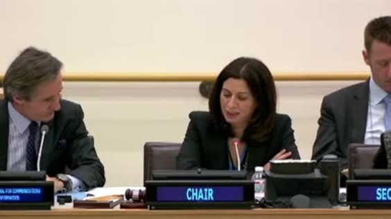 Peter Launsky-Tieffenthal (DPI), Fourth Committee, 9th meeting - 68th General Assembly