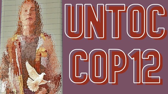 Conference of the Parties to UNTOC, 12th session [8th meeting]