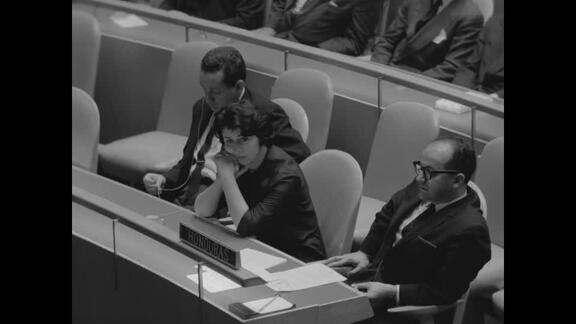 1133rd Plenary Meeting of General Assembly: 17th Session - Part 3