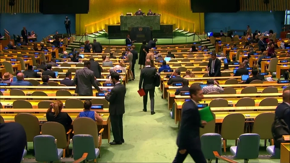 General Assembly: 60th plenary meeting, Tenth emergency special session