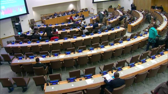 (6th plenary) 52nd session of the Commission on Population and Development (1 - 5 April 2019)