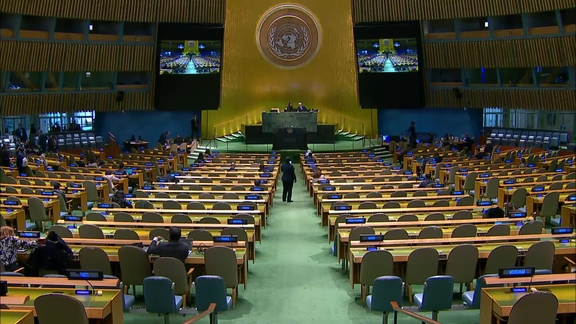 General Assembly: 20th plenary meeting, 80th session