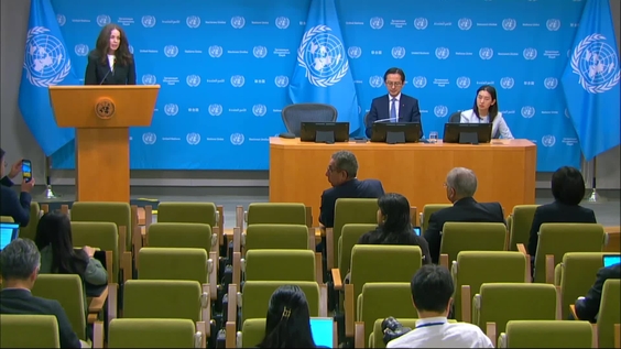 Press Conference: The President of the Eleventh Review Conference of the Parties to the Treaty on the Non-Proliferation of Nuclear Weapons (NPT), Ambassador Do Hung Viet of Viet Nam
