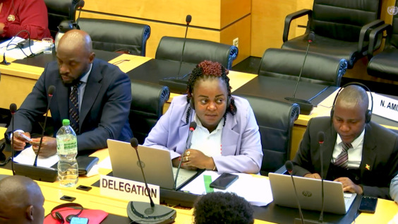 3178th Meeting, 116th Session, Committee on the Elimination of Racial Discrimination (CERD)