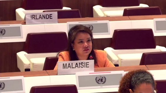 2025 ECOSOC Humanitarian Affairs Segment - Economic and Social Council, 31st Plenary Meeting