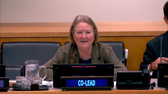(13th meeting) - Fifth Session of the Intergovernmental Negotiating Committee on the UN Framework Convention on International Tax Cooperation (INC Tax) - 3 to 13 August 2026