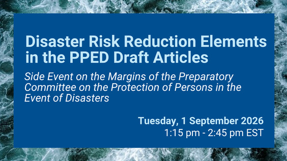 Disaster Risk Reduction Elements in the PPED Draft Articles - Side Event on the Margins of the PPED PrepCom