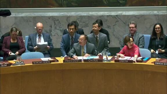 Situation Concerning Iraq - 8739th Security Council Meeting