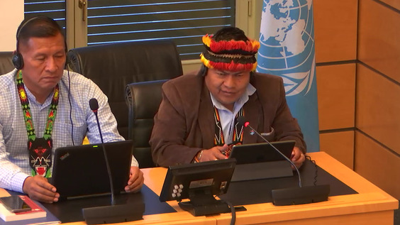 3113rd Meeting, 114th Session, Committee on the Elimination of Racial Discrimination (CERD)