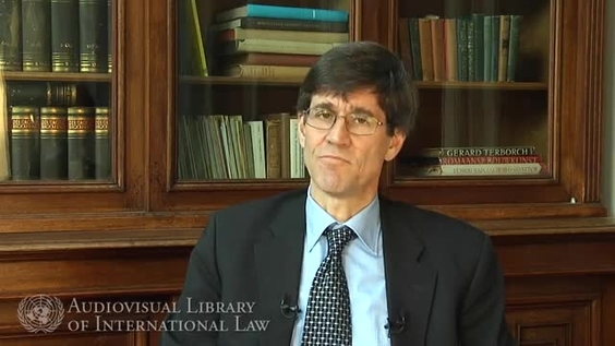Niels Blokker - Immunity of International Organizations