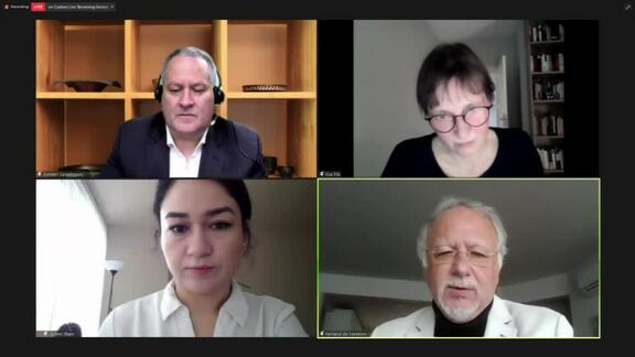 High-Level Virtual Event on the Situation of Uyghurs and other Turkic Muslim Minorities in Xinjiang