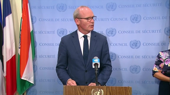 Simon Coveney (Ireland) ahead of the Security Council Informal (closed) Interactive Dialogue with the League of Arab States (22 September 2021)