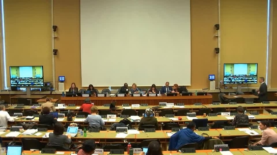 Consideration of the former Yugoslav Republic of Macedonia - 1645th Meeting 71st Session Committee on the Elimination of Discrimination Against Women 