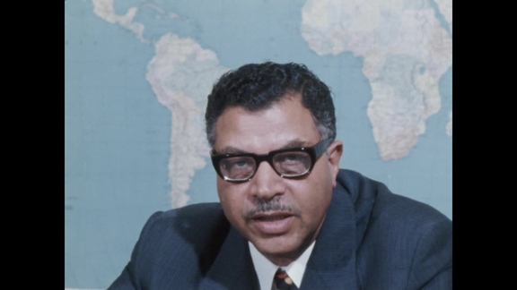 Interviews with Representatives of UN Environment Programme
