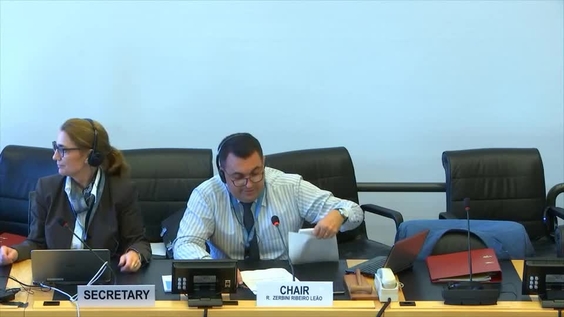 Meeting with partners, Part 2 - 71st Meeting, 67th Session Committee on Economic, Social and Cultural Rights