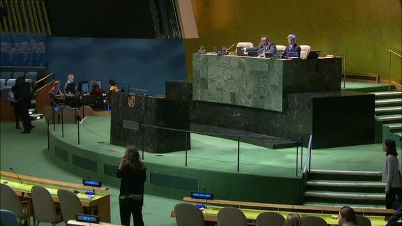 49th Plenary Meeting of General Assembly 73rd Session