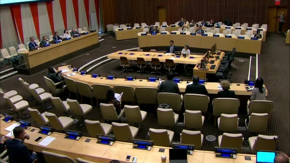 (9th Meeting) Executive Board of UNDP, UNFPA and UNOPS -  Annual session 2019 (30 May, 3-4 and 6-7 June)