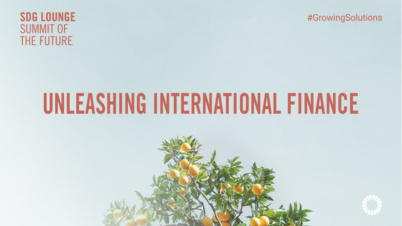 SDG Lounge - Unleashing International Finance
