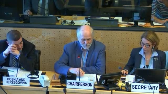 Consideration of Bosnia and Herzegovina - 181st Meeting 11th Session of Committee on Enforced Disappearances
