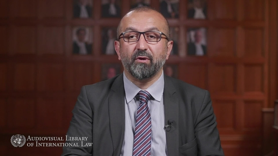 Fuad Zarbiyev - L'autorité des décisions juridictionnelles en droit international