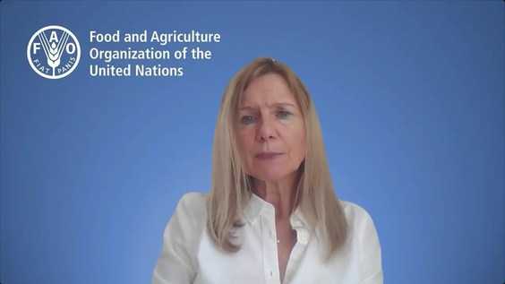 Press Conference: Basel, Rotterdam and Stockholm Conventions Secretariat