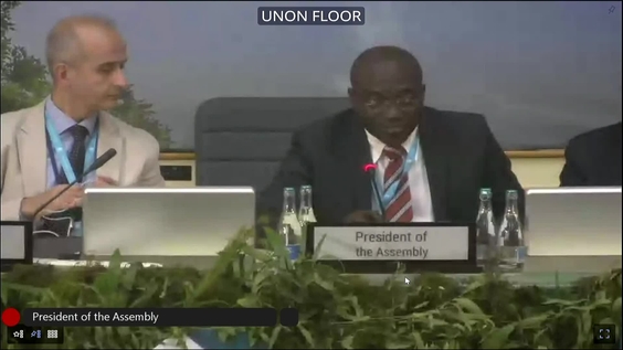 Plenary - 2nd session of the UN Habitat Assembly