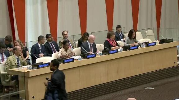 General Assembly Briefing on Implementation of Sustainable Development Goals