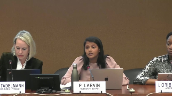 2nd Meeting, Expert Consultation, UN Guiding Principles on Business and Human rights
