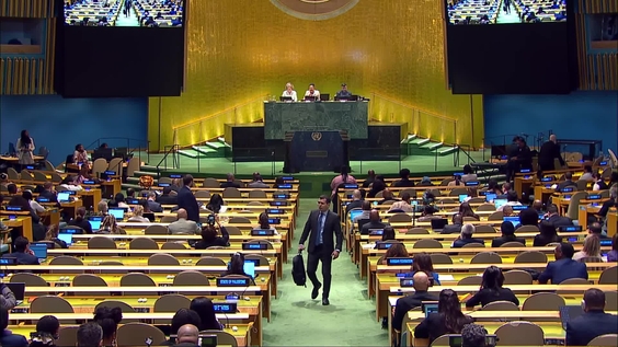 1st meeting, 4th Session of the Permanent Forum on People of African Descent (PFPAD4)