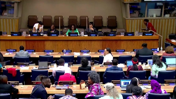 (Continuation, 5th meeting) 2nd Session of the Permanent Forum on People of African Descent - Thematic Discussion: Item 5: Thematic Discussion: Recognizing and addressing systemic and structural racism: A data-driven and evidence-based approach