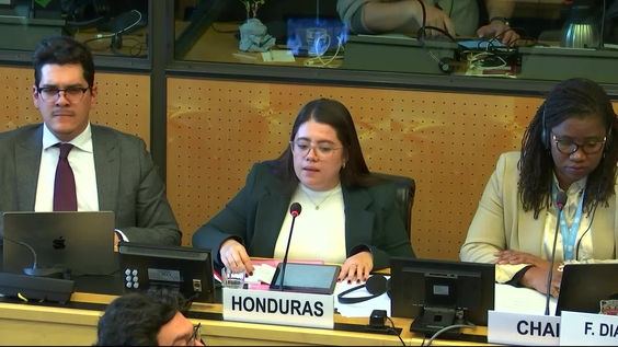 620th Meeting, 41st Session, Committee on Migrant Workers (CMW)