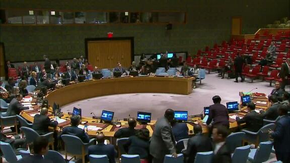 8187th Security Council Meeting: Situation in Central African Republic