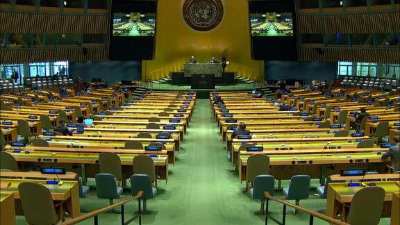 17th Plenary Meeting - General Assembly 75th Session