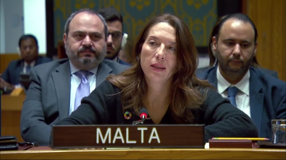 Briefings by Chairs of subsidiary bodies of the Security Council - Security Council, 9784th meeting