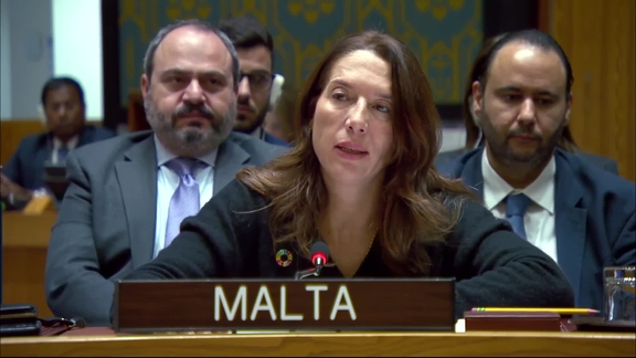 Briefings by Chairs of subsidiary bodies of the Security Council - Security Council, 9784th meeting
