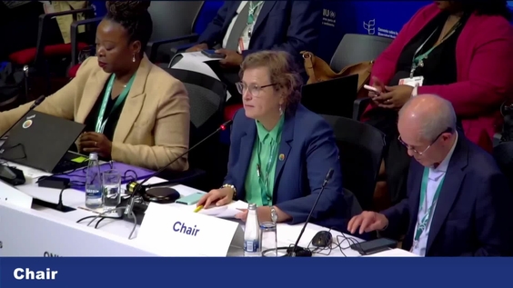 Working Group 1 (3rd meeting) at COP16 – United Nations Biodiversity Conference 2024