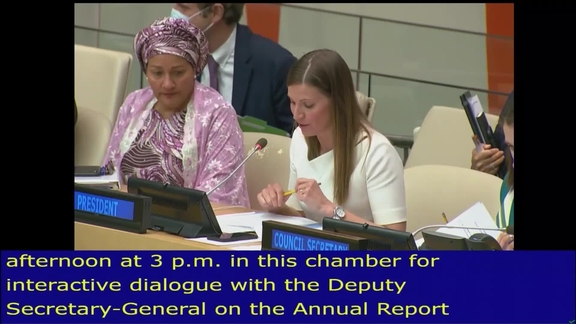 Economic and Social Council: 14th Plenary Meeting, 2022 Session