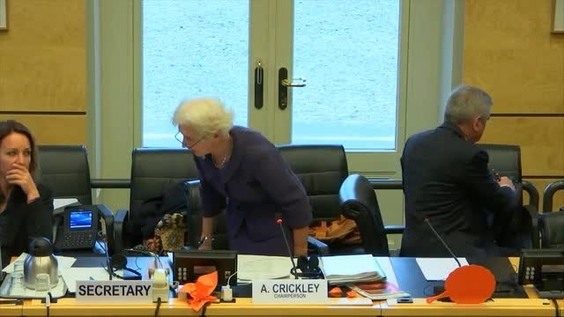 Consideration of Slovakia - 2598th Meeting 94th Session Committee on Elimination of Racial Discrimination