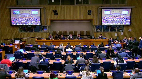 Fourth Committee, 10th plenary meeting - General Assembly, 80th session