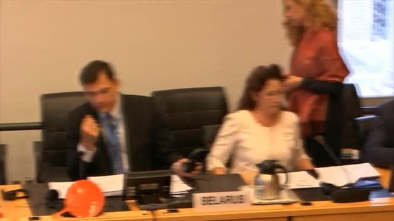 Consideration of Belarus - 2602nd Meeting 94th Session Committee on Elimination of Racial Discrimination