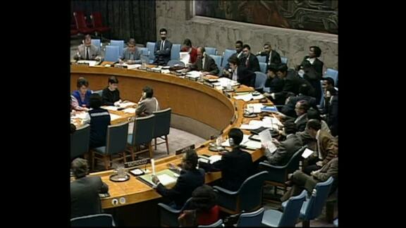 3308th Meeting of Security Council: Bosnia and Herzegovina