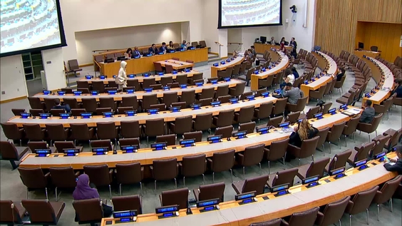 (Continued) Joint General Assembly–Economic and Social Council special thematic event on the midterm review of the Doha Programme of Action for the Least Developed Countries - General Assembly, 80th session, 2026 | ECOSOC, 2026 session