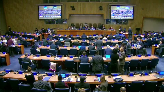 First Committee, 30th meeting - General Assembly, 73rd session
