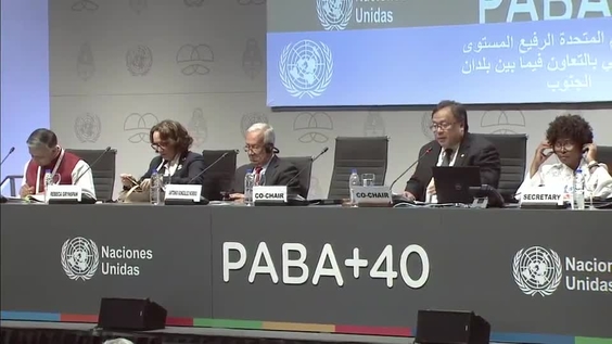 2nd Interactive panel discussion, UN Conference on South-South Cooperation - BAPA 40