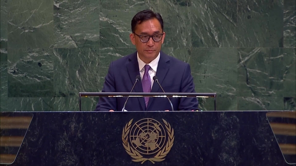 General Assembly: 100th plenary meeting, 80th session